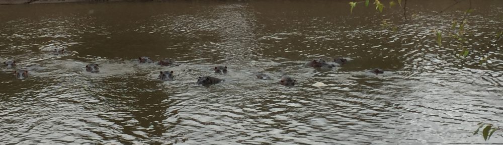 Had we but world enough and time…