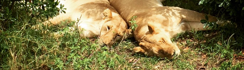 Had we but world enough and time…