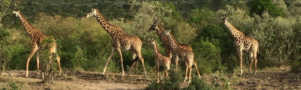 Had we but world enough and time…