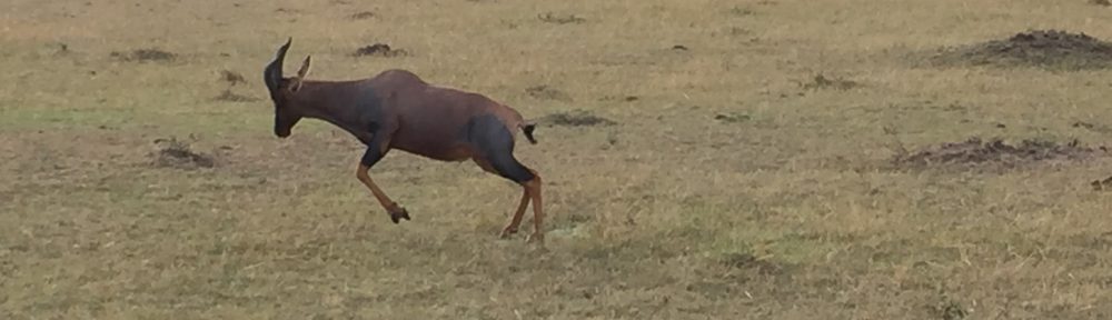 Had we but world enough and time…