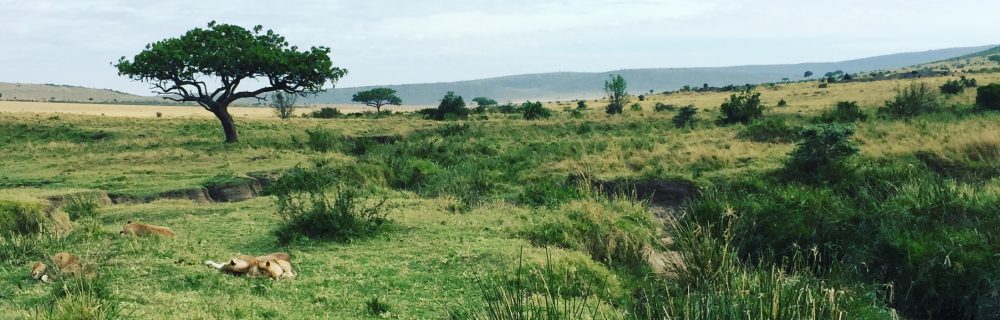 Had we but world enough and time…