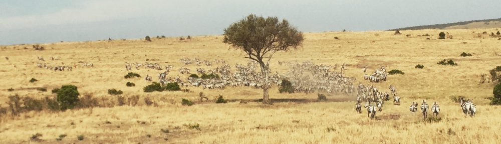 Had we but world enough and time…