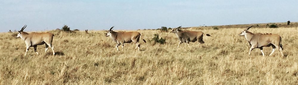 Had we but world enough and time…