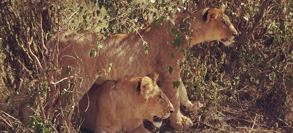 Had we but world enough and time…