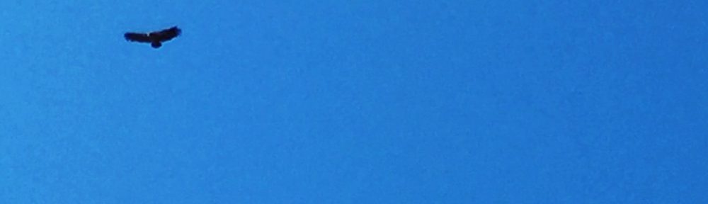 Had we but world enough and time…