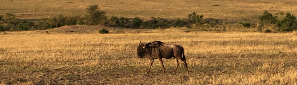 Had we but world enough and time…