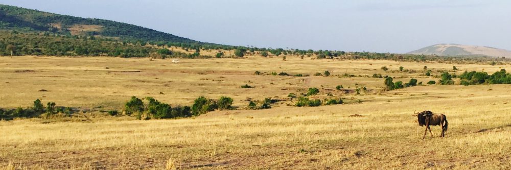 Had we but world enough and time…