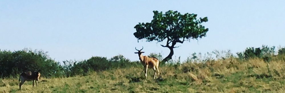 Had we but world enough and time…