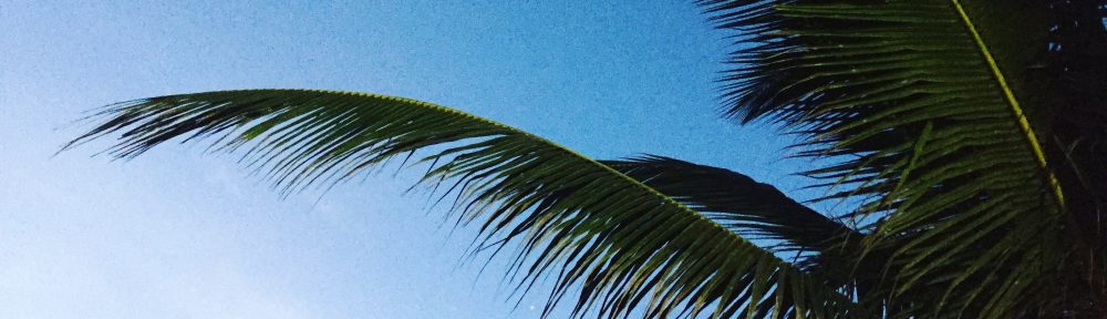 Had we but world enough and time…