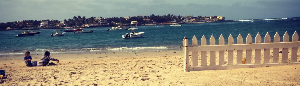 Had we but world enough and time…