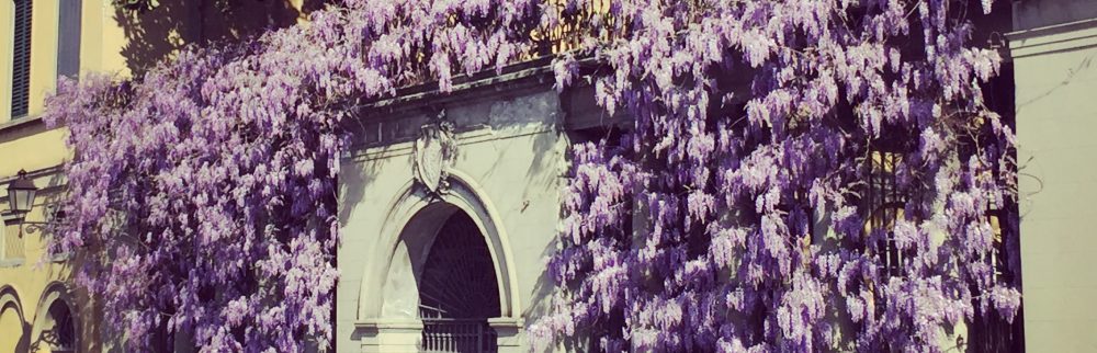 Had we but world enough and time…