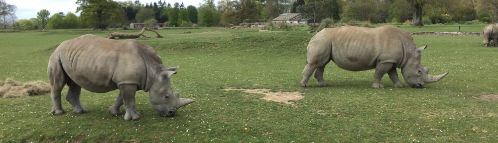 Had we but world enough and time…