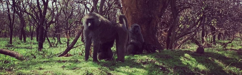 Had we but world enough and time…