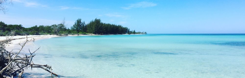 Had we but world enough and time…