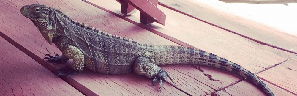 Had we but world enough and time…